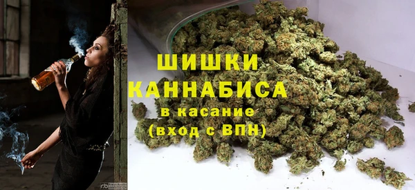 Альфа ПВП Алзамай
