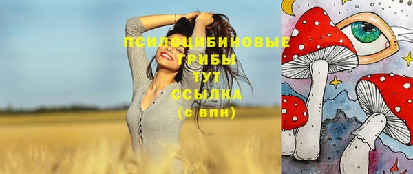 синтетический гашиш Алексин